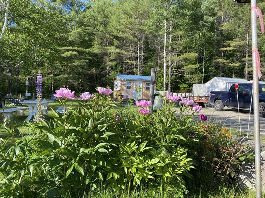 Snowdon Chalet Motel by null