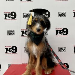 Nashville K-9