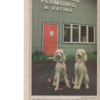 Lichtfeld Plumbing - Thelma and Louise winners of take your dog to work day...... - Plumbing Near Me - Madison, Wisconsin Lichtfeld Plumbing - Thelma and Louise winners of take your dog to work day...... - Plumbing Near Me - Madison, Wisconsin