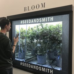 Seed & Smith - Blooming awesome
