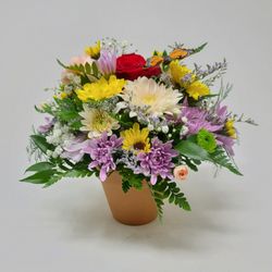 The Colonial Flower Shop - Cutest arrangement of long lasting flowers in a clay pot. With a  Butterfly added for a touch of whimsy
