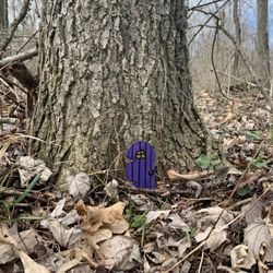 Burchfield Park - Today's hike find.