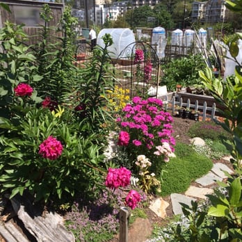 Interbay P-Patch - Entry to a garden plot - Local Flavor Near Me - Seattle, Washington