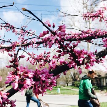Keep Indianapolis Beautiful - Community Service/Non-Profit Near Me - Indianapolis, Indiana Keep Indianapolis Beautiful - Community Service/Non-Profit Near Me - Indianapolis, Indiana