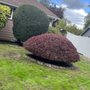 Photo of Amates Landscaping