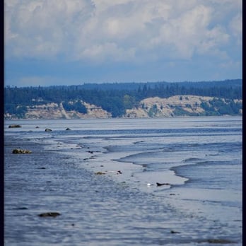 Double Bluff Beach - Beaches Near Me - Freeland, Washington