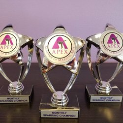 APEX Academy of Martial Arts - We Believe That Hard Work Will Bring Rewards In The School And In Life