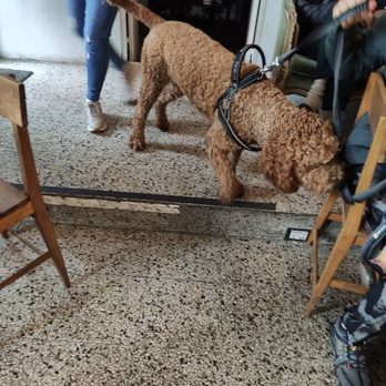 Cuervo Café - Cafeteria Near Me - Palermo, C
