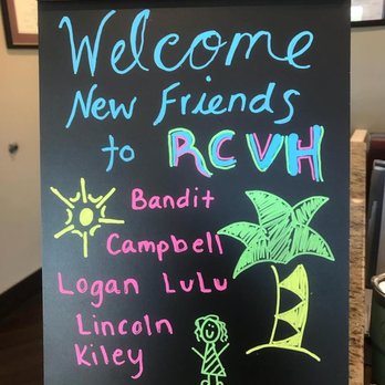 River City Veterinary Hospital - Veterinarians Near Me - Richmond, Virginia