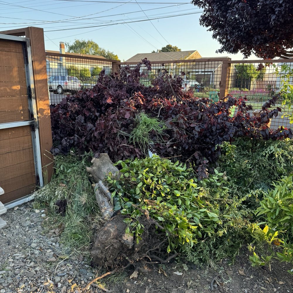 Mountain Movin Junk Removal - Before - Junk Removal & Hauling Near Me Mountain Movin Junk Removal - Before - Junk Removal & Hauling Near Me