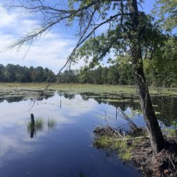 Black Run Preserve