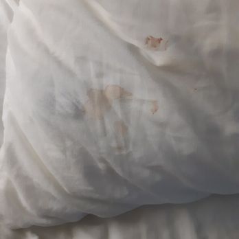 Quality Suites - I don't even know - Hotels Near Me - Copperas Cove, Texas