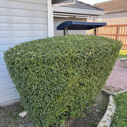 Sutter Valley Lawn Service