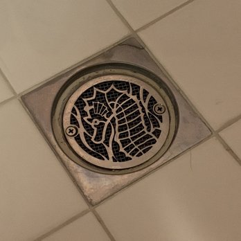Designer Drains - Seahorse, hair catcher under (old bathroom from the 1950s) - Kitchen & Bath Near Me - Montclair, California