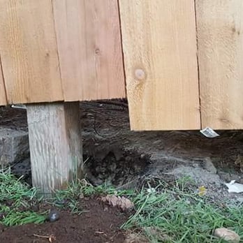 All Pro Landscaping Construction - This fence used to hold dogs in, now they can slink under the fence. - Landscaping Near Me