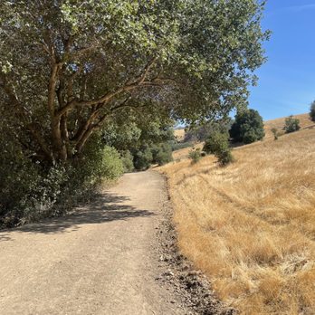Briones Regional Park - Hiking in Biones regional park - Parks Near Me - Martinez, California Briones Regional Park - Hiking in Biones regional park - Parks Near Me - Martinez, California