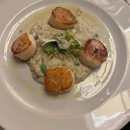 Scallops & risotto Scallops & risotto