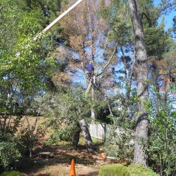 Mathers Tree Service - Tree Services Near Me