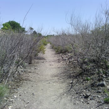 Pittman Wash Trail - in the wash trail - Hiking Near Me - Henderson, Nevada Pittman Wash Trail - in the wash trail - Hiking Near Me - Henderson, Nevada
