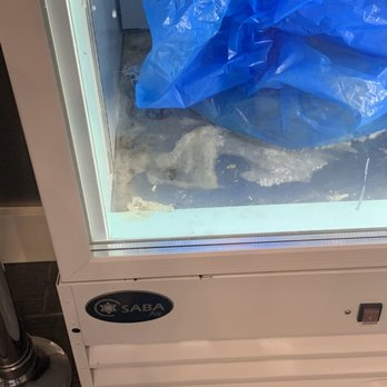 Creamistry - Fridge with ice cream packaged on top shelves - Desserts Near Me - Irving, Texas Creamistry - Fridge with ice cream packaged on top shelves - Desserts Near Me - Irving, Texas