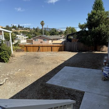 Green Lane Tree Service - Finished. - Tree Services Near Me - Brentwood, California