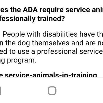Thornton Merc - a screenshot of a dog training program - Burgers Near Me - Rexburg, Idaho