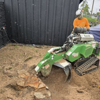 Leon Tree Service - Stum Grinding - Tree Services Near Me