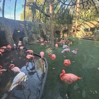 Sac Zoo - Zoos Near Me - Sacramento, California Sac Zoo - Zoos Near Me - Sacramento, California