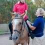 Forest Lake Riding School