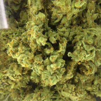 WHTC - Super Lemon Haze! - Cannabis Clinics Near Me - Studio City, California WHTC - Super Lemon Haze! - Cannabis Clinics Near Me - Studio City, California