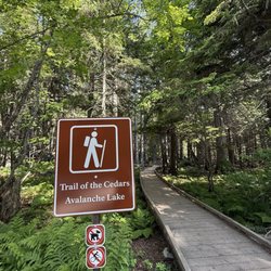 Trail of the Cedars & Avalanche Lake - Trail of the Cedars
