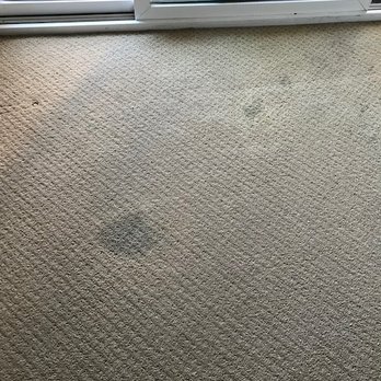 Eco-Dry Carpet Care - Carpet Cleaning Near Me - San Diego, California Eco-Dry Carpet Care - Carpet Cleaning Near Me - San Diego, California