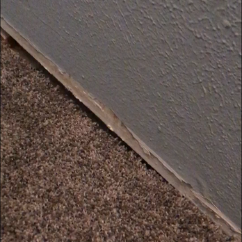 Empire Today - Carpet not tacked down, entire hallway - Flooring Near Me Empire Today - Carpet not tacked down, entire hallway - Flooring Near Me