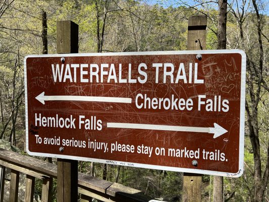Cloudland Canyon State Park by null
