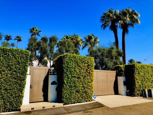 Palm Springs Mod Squad (Architecture Tours) by null