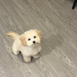 haircut haircut