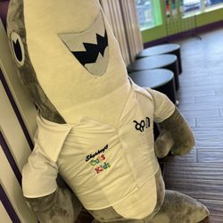 This is the giant Sharkey you can hug and take pictures with when you visit Sharkeys!