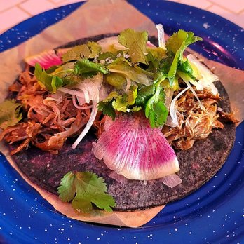 Nixta Taqueria - Duck carnitas taco! - Mexican Near Me - Austin, Texas