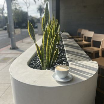 Play - Coffee & Tea Near Me - Laguna Beach, California Play - Coffee & Tea Near Me - Laguna Beach, California