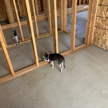 Brad Jones Construction - Our fur baby Mia checking out the new space. This is the guest room looking into the hallway and beyond to our bathroom. - General Contractors Near Me