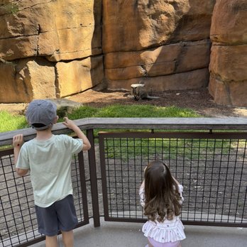 Santa Barbara Zoo - Kangaroo walk through - Zoos Near Me - Santa Barbara, California Santa Barbara Zoo - Kangaroo walk through - Zoos Near Me - Santa Barbara, California