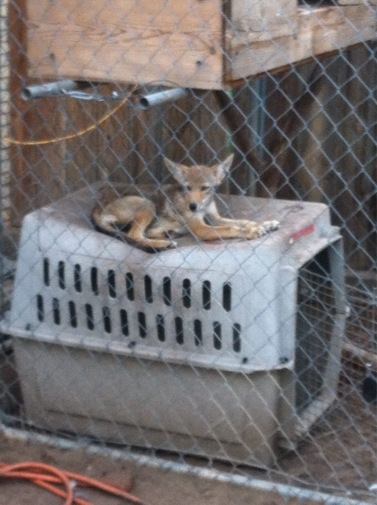 SOUTHWEST OKLAHOMA ANIMAL RESCUE INC 500 S 15th St, Frederick