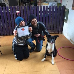 Leading the Way Dog Training and Doggie Daycare