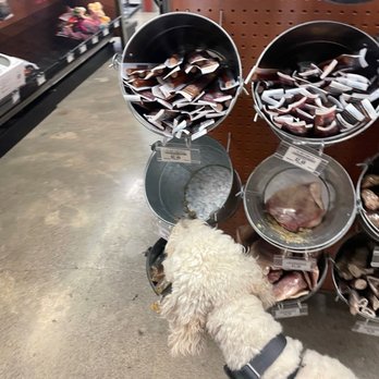 Pet Food Express - Pet Stores Near Me - Oakland, California