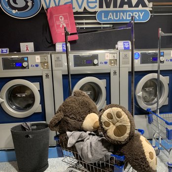 WaveMax Laundry - I can't bear to be dirty. #bathtime - Laundromat Near Me - Tustin, California WaveMax Laundry - I can't bear to be dirty. #bathtime - Laundromat Near Me - Tustin, California