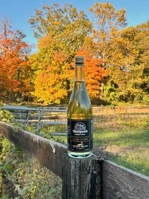 Thompson's Cider Mill and Orchard by null