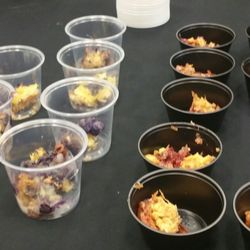 SAINT PHILIP AME CHURCH - 21 Photos - Churches - 240 Candler Rd SE