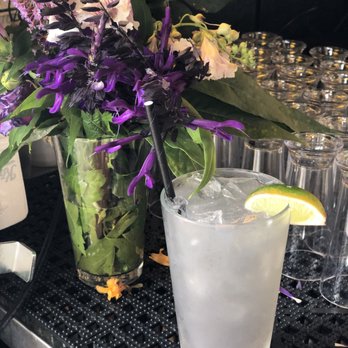 BloodBuzz - High Violet - Cocktail Bars Near Me - Portland, Oregon BloodBuzz - High Violet - Cocktail Bars Near Me - Portland, Oregon