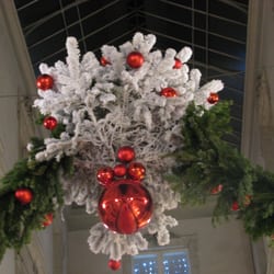 Illuminations de Noël