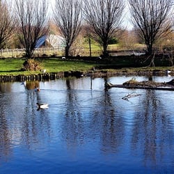 WWT Martin Mere Wetland Centre